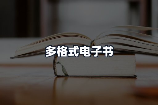 多格式电子书